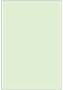 Green Tea Flat Card 4 1/2 x 6 1/2 - 25/Pk