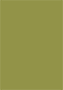 Olive Flat Card 4 1/2 x 6 1/2 - 25/Pk