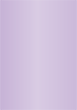 Violet Flat Card 4 1/2 x 6 1/2