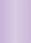 Violet Flat Card 4 1/4 x 6 - 25/Pk