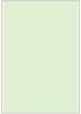Green Tea Flat Card 4 7/8 x 6 7/8 - 25/Pk