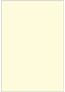Crest Baronial Ivory Flat Card 4 3/4 x 6 3/4 - 25/Pk