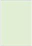 Green Tea Flat Card 4 3/4 x 6 3/4 - 25/Pk