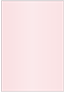 Rose Flat Card 4 3/4 x 6 3/4 - 25/Pk