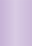 Violet Flat Card 4 3/4 x 6 3/4 - 25/Pk