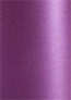 Purple Silk Flat Card 4 3/4 x 6 3/4 - 25/Pk