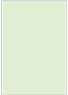 Green Tea Flat Card 5 x 7 - 25/Pk