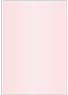 Rose Flat Card 5 x 7 - 25/Pk