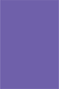 Amethyst Flat Card 5 5/8 x 8 5/8 - 25/Pk