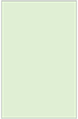 Green Tea Flat Card 5 5/8 x 8 5/8 - 25/Pk