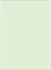 Green Tea Flat Card 5 1/2 x 7 1/2 - 25/Pk