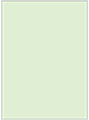 Green Tea Flat Card 5 1/2 x 7 1/2 - 25/Pk