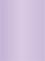 Violet Flat Card 5 1/2 x 7 1/2