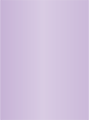 Violet Flat Card 5 1/2 x 7 1/2 - 25/Pk