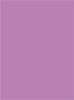 Plum Punch Flat Card 5 1/2 x 7 1/2 - 25/Pk