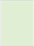 Green Tea Flat Card 5 1/8 x 7 1/8 - 25/Pk