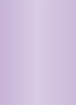 Violet Flat Card 5 1/8 x 7 1/8 - 25/Pk