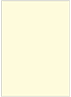 Crest Baronial Ivory Flat Card 5 1/4 x 7 1/4 - 25/Pk