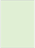 Green Tea Flat Card 5 1/4 x 7 1/4 - 25/Pk