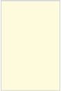 Crest Baronial Ivory Flat Card 5 3/4 x 8 3/4 - 25/Pk
