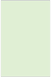 Green Tea Flat Card 5 3/4 x 8 3/4 - 25/Pk