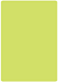 Citrus Green Round Corner Flat Card (3 1/2 x 5) 25/Pk