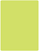 Citrus Green Round Corner Flat Card 4 1/4 x 5 1/2