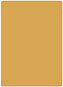Serengeti Round Corner Flat Card (6 1/4 x 4 1/2) 25/Pk