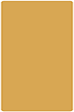 Serengeti Round Corner Flat Card (5 3/4 x 8 3/4) 25/Pk