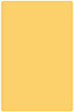 Bumble Bee Round Corner Flat Card (5 3/4 x 8 3/4) 25/Pk