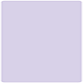 Purple Lace Round Corner Flat Card (5 3/4 x 5 3/4) 25/Pk
