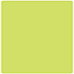 Citrus Green Round Corner Flat Card (5 3/4 x 5 3/4) 25/Pk