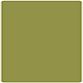 Olive Round Corner Flat Card (5 3/4 x 5 3/4) 25/Pk