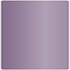 Purple Round Corner Flat Card 5 3/4 x 5 3/4