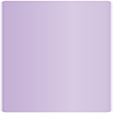 Violet Round Corner Flat Card 5 3/4 x 5 3/4