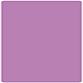 Plum Punch Round Corner Flat Card (5 3/4 x 5 3/4) 25/Pk