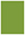 Iguana Flat Paper 2 x 3 1/2 - 50/Pk