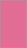 Peony Flat Paper 2 1/4 x 4 - 50/Pk