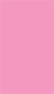 Peony Flat Paper 2 1/4 x 4 - 50/Pk