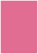 Peony Flat Paper 3 1/2 x 5 - 50/Pk