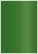 Botanic Flat Paper 3 1/2 x 5 - 50/Pk