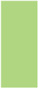 Pistachio Flat Paper 3 3/4 x 8 7/8 - 50/Pk