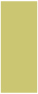 Tropical Green Flat Paper 3 3/4 x 8 7/8 - 50/Pk