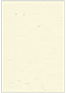 Milkweed Flat Paper 3 3/8 x 4 7/8 - 50/Pk