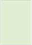 Green Tea Flat Paper 3 3/8 x 4 7/8 - 50/Pk