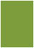 Iguana Flat Paper 3 3/8 x 4 7/8 - 50/Pk