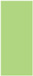 Pistachio Flat Paper 3 3/4 x 8 3/4 - 50/Pk