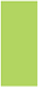 Citrus Green Flat Paper 3 3/4 x 8 3/4 - 50/Pk