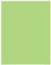 Pistachio Flat Paper 4 1/4 x 5 1/2 - 50/Pk