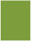 Iguana Flat Paper 4 1/4 x 5 1/2 - 50/Pk